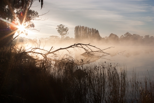 Gosling Creek Reserve